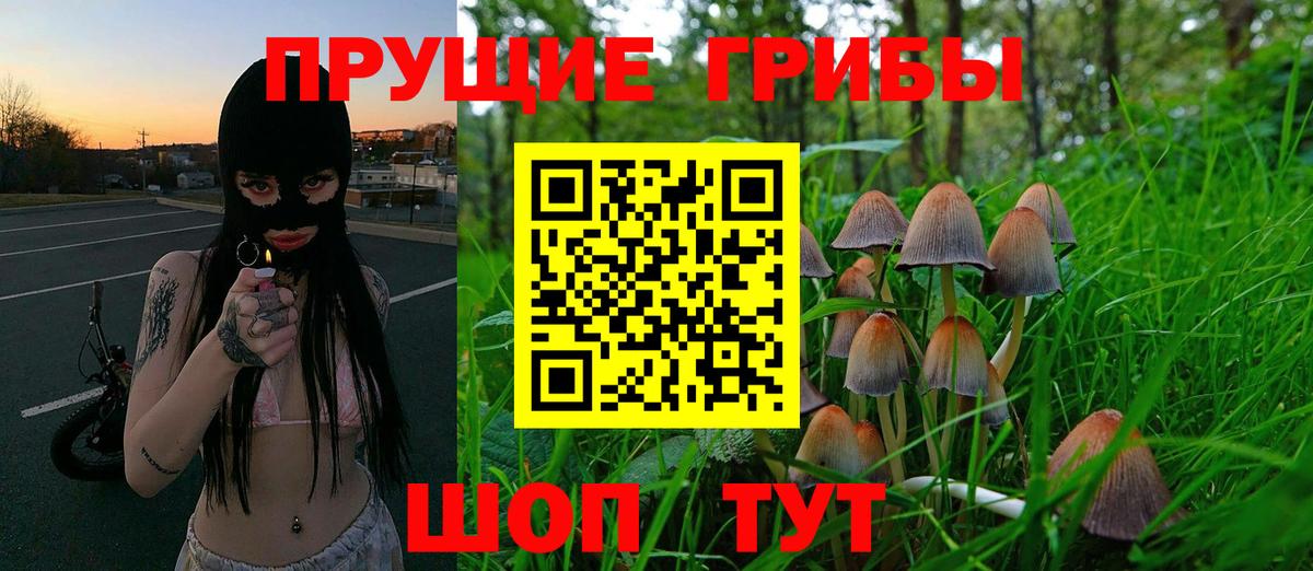 Лобня  Псилоцибиновые грибы MAGIC MUSHROOMS  купить наркотики сайты  Вход с VPN 