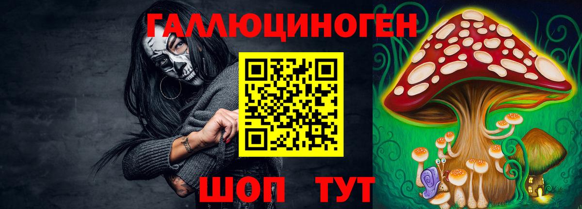 Галлюциногенные грибы Psilocybine cubensis Лобня